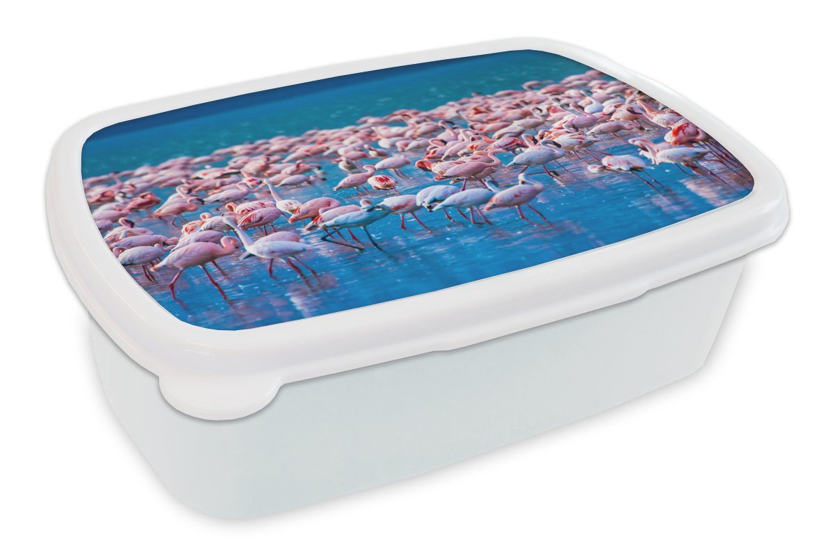MuchoWow Lunchbox Flamingo - Wasser - Tropisch - Rosa, Kunststoff, (2-tlg), Brotbox für Kinder und Erwachsene, Brotdose, für Jungs und Mädchen weiß