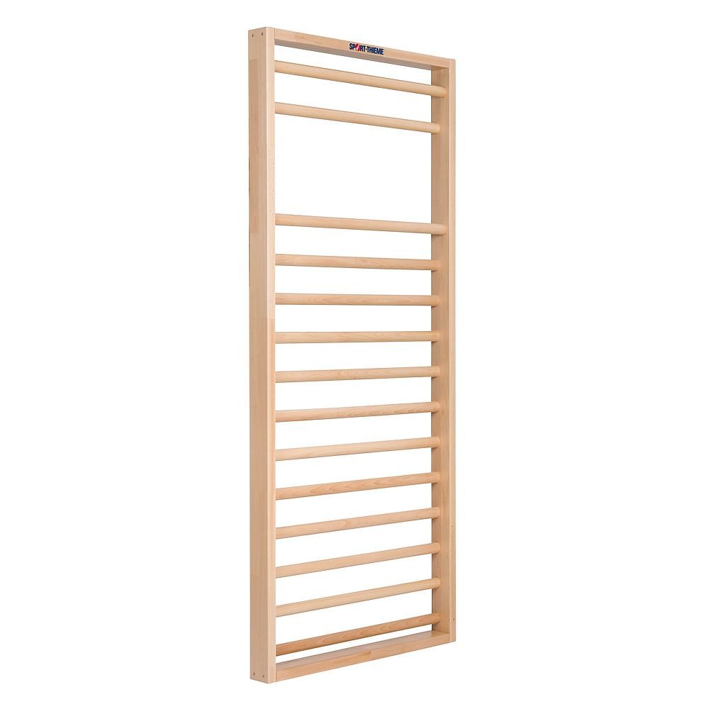 Sport-Thieme Sprossenwand Turnwand-Einzelelement TuWa Sprossenwand nach DIN, Sprossenwand-Element nach DIN-Vorgaben