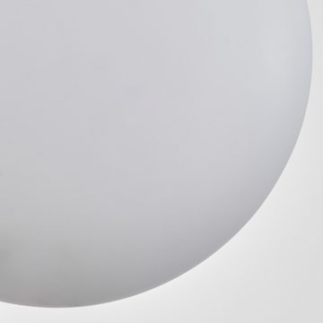 hofstein Deckenleuchte Deckenlampe aus Metall/Glas in Schwarz/Weiß, ohne Leuchtmittel, moderne Leuchte mit Glasschirmen (12 cm), 8 x G9, ohne Leuchtmittel