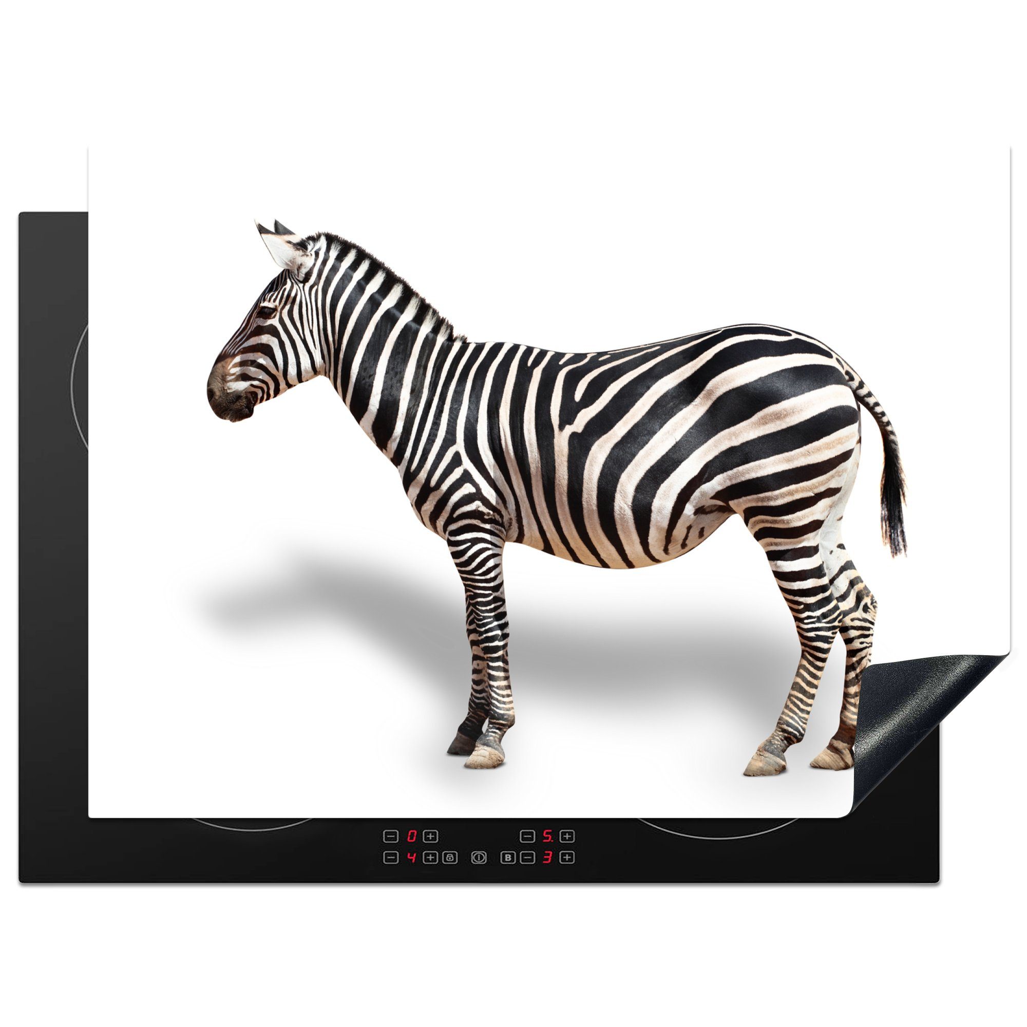 MuchoWow Herdblende-/Abdeckplatte Zebra von der Seite auf weißem Hintergrund, Vinyl, (1 tlg), 70x52 cm, Mobile Arbeitsfläche nutzbar, Ceranfeldabdeckung