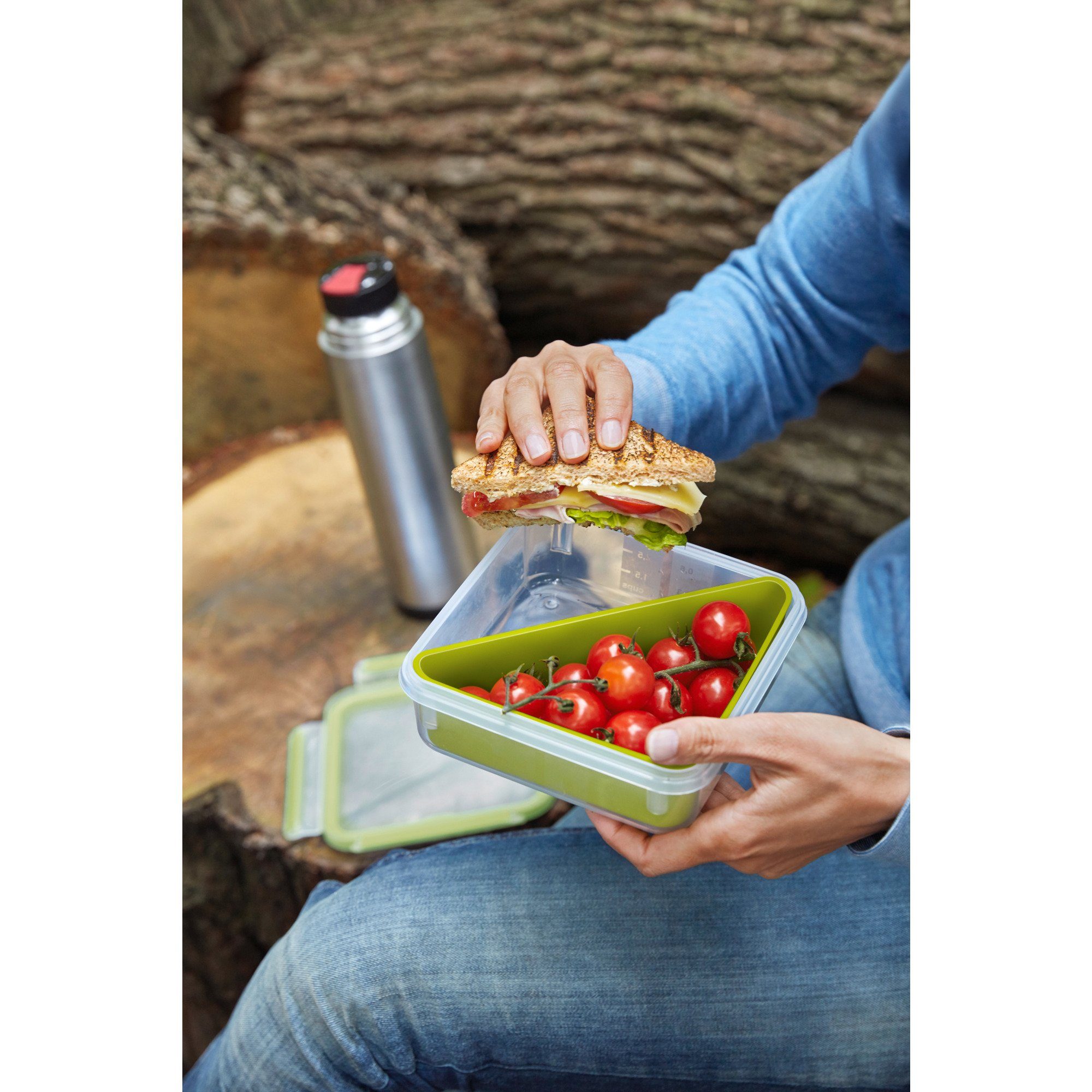 Emsa Lunchbox Emsa CLIP & GO Sandwichbox 0,85 Liter, Lunch-Box