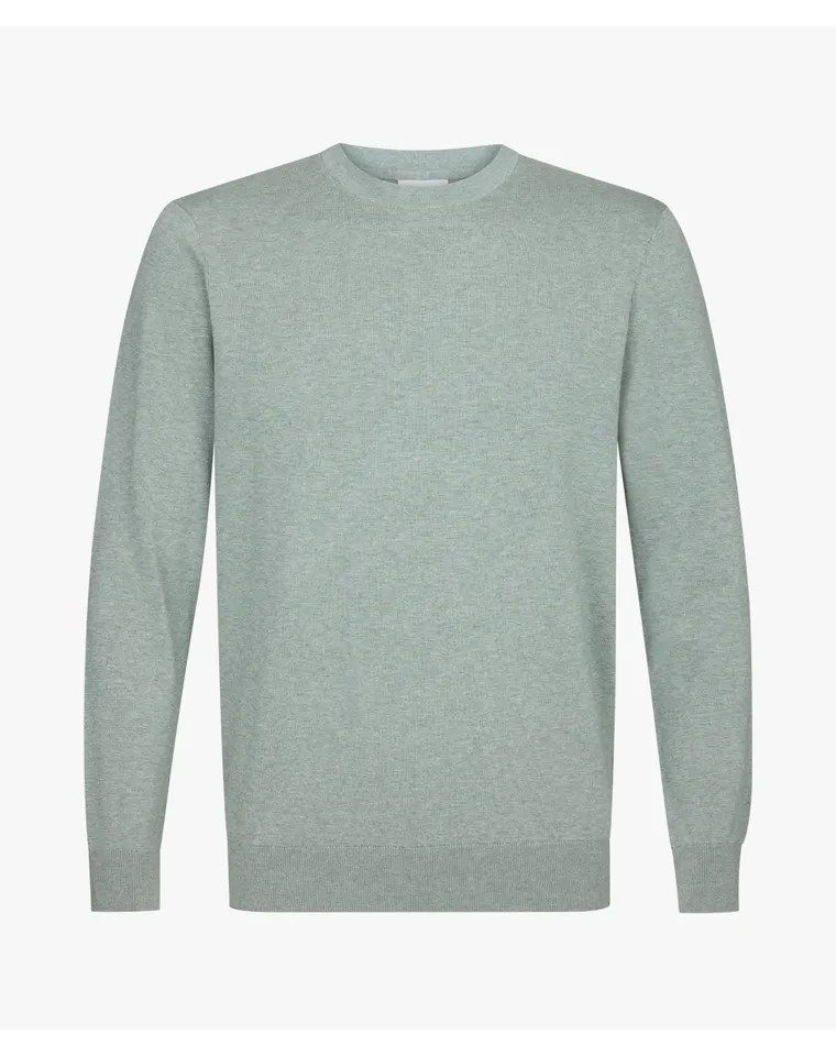 Profuomo Troyer PULLOVER CREW NECK LS GREEN