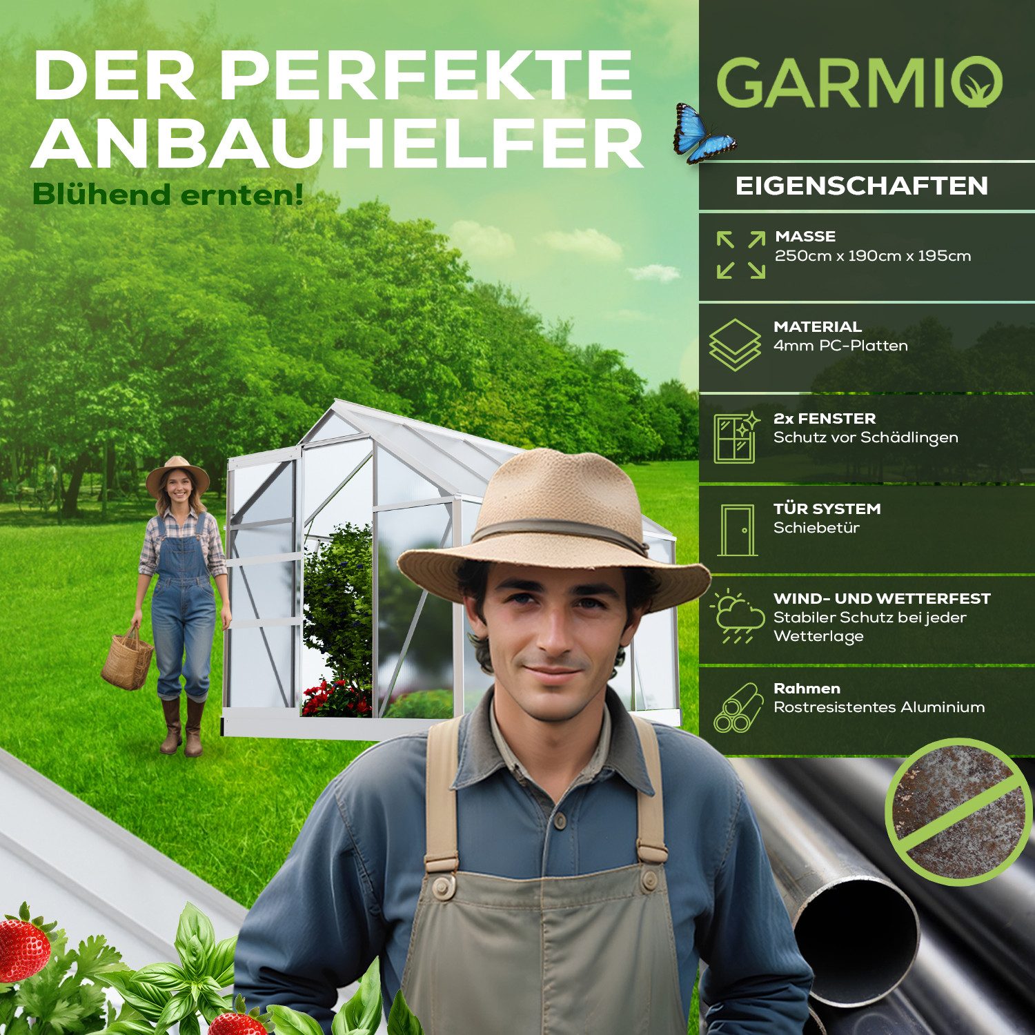 GARMIO Gewächshaus Gewächshaus NEAPEL aus Aluminium, günstig online kaufen