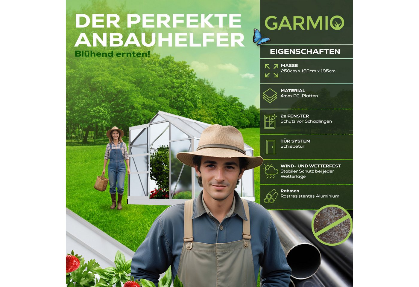 Thumbnail - GARMIO Gewächshaus Gewächshaus NEAPEL aus Aluminium, 4,75m² 4mm Wand, Schiebetür, BxTxH: 190 x 250 x 195 cm, inkl. Funda...