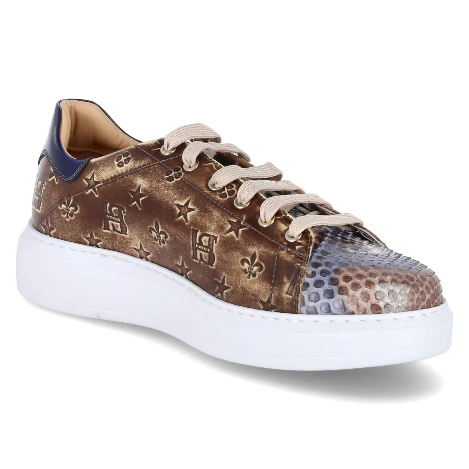 Harris Low Sneaker PAUL Sneaker