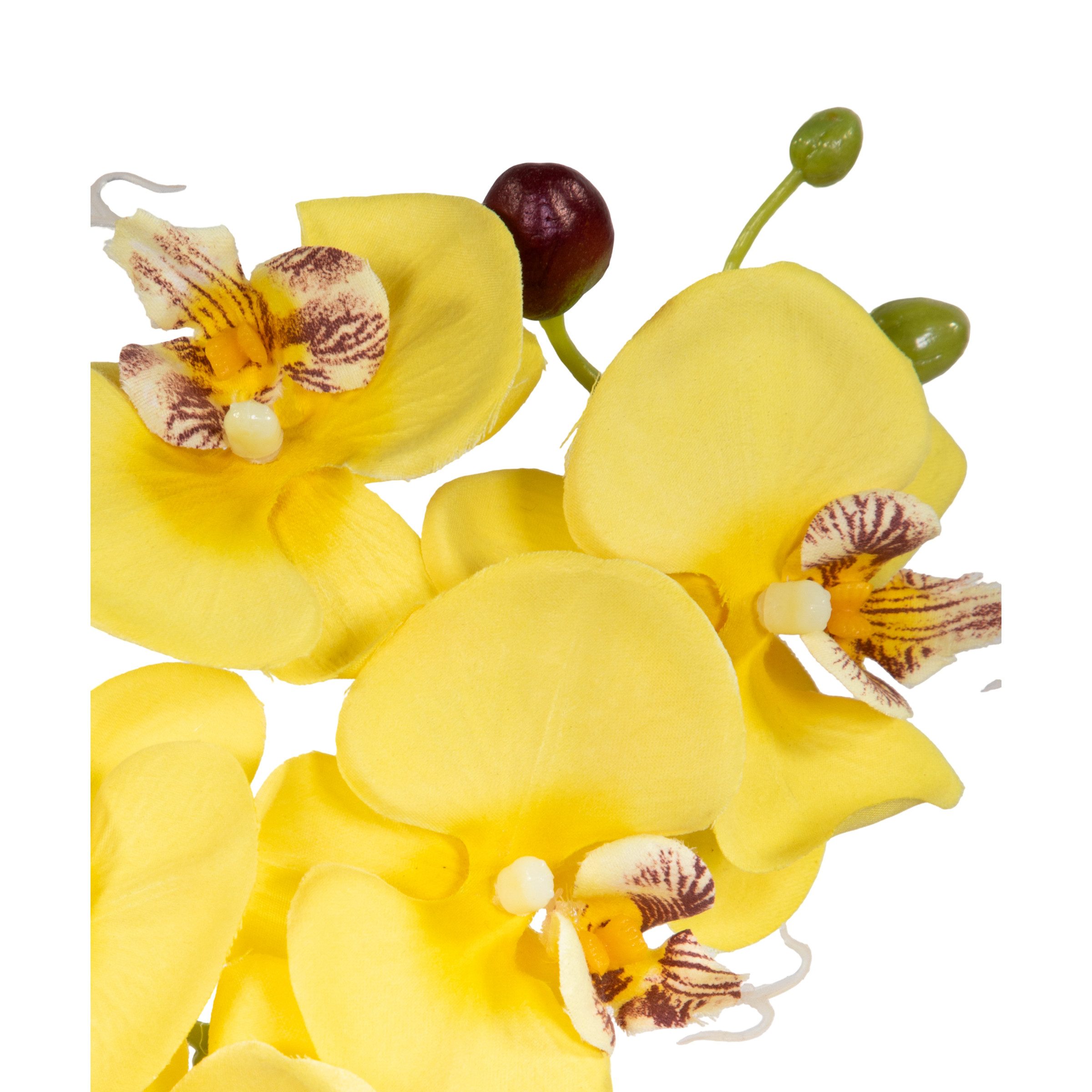 Kunstblume Künstliche Orchidee 38cm im Topf LA Phalaenopsis mit Textilblüten, Seidenblumen Roß, Höhe 38,00 cm, Farbe: Gelb – Bild 5 von 5