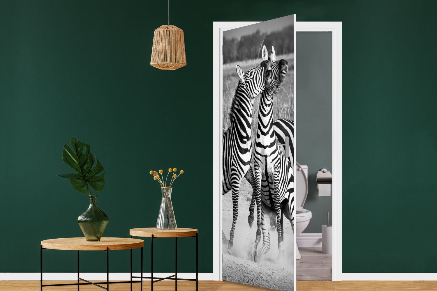 MuchoWow Türtapete Kämpfende Zebras, 75x205 cm Türaufkleber, St), Fototapete für bedruckt, (1 Matt, Tür