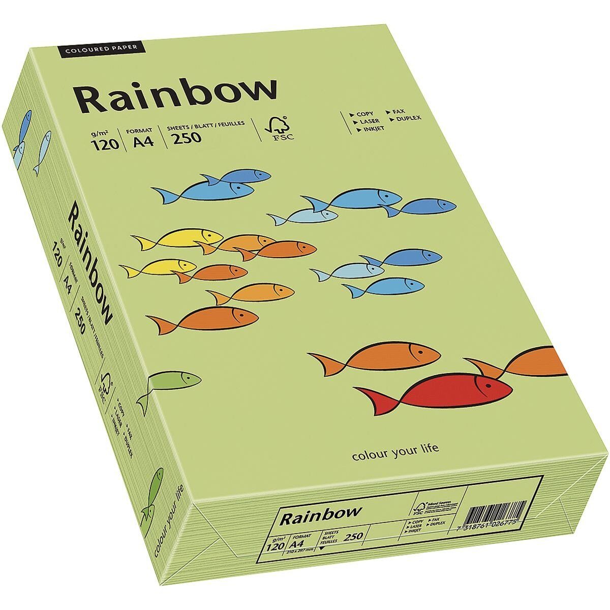 Inapa tecno Drucker- und Blatt Kopierpapier Rainbow DIN Intensivfarben, Format A4, g/m², Colors, tecno leuchtendgrün 250 / 120
