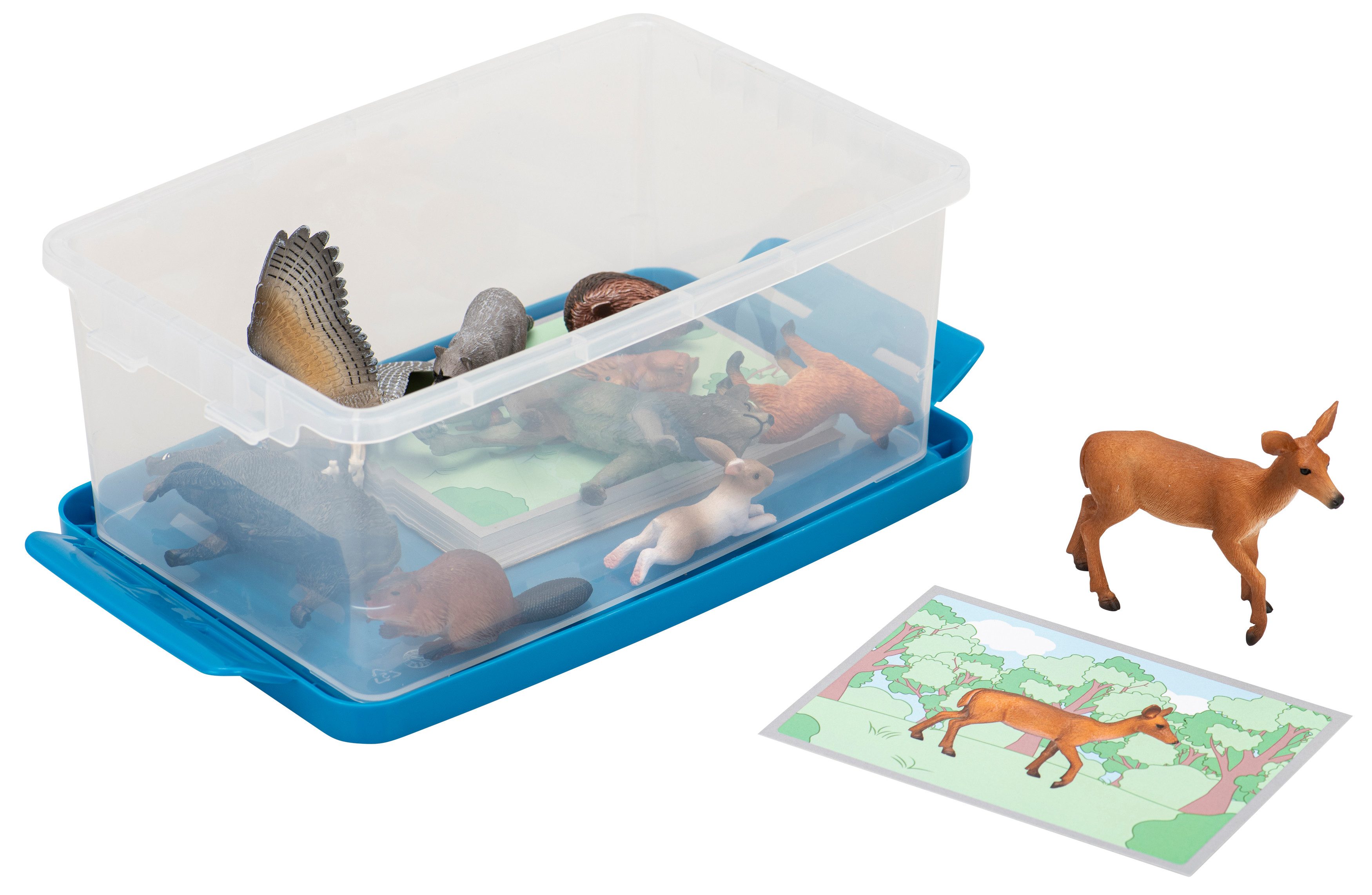 Betzold Lernspielzeug Tiere zuordnen