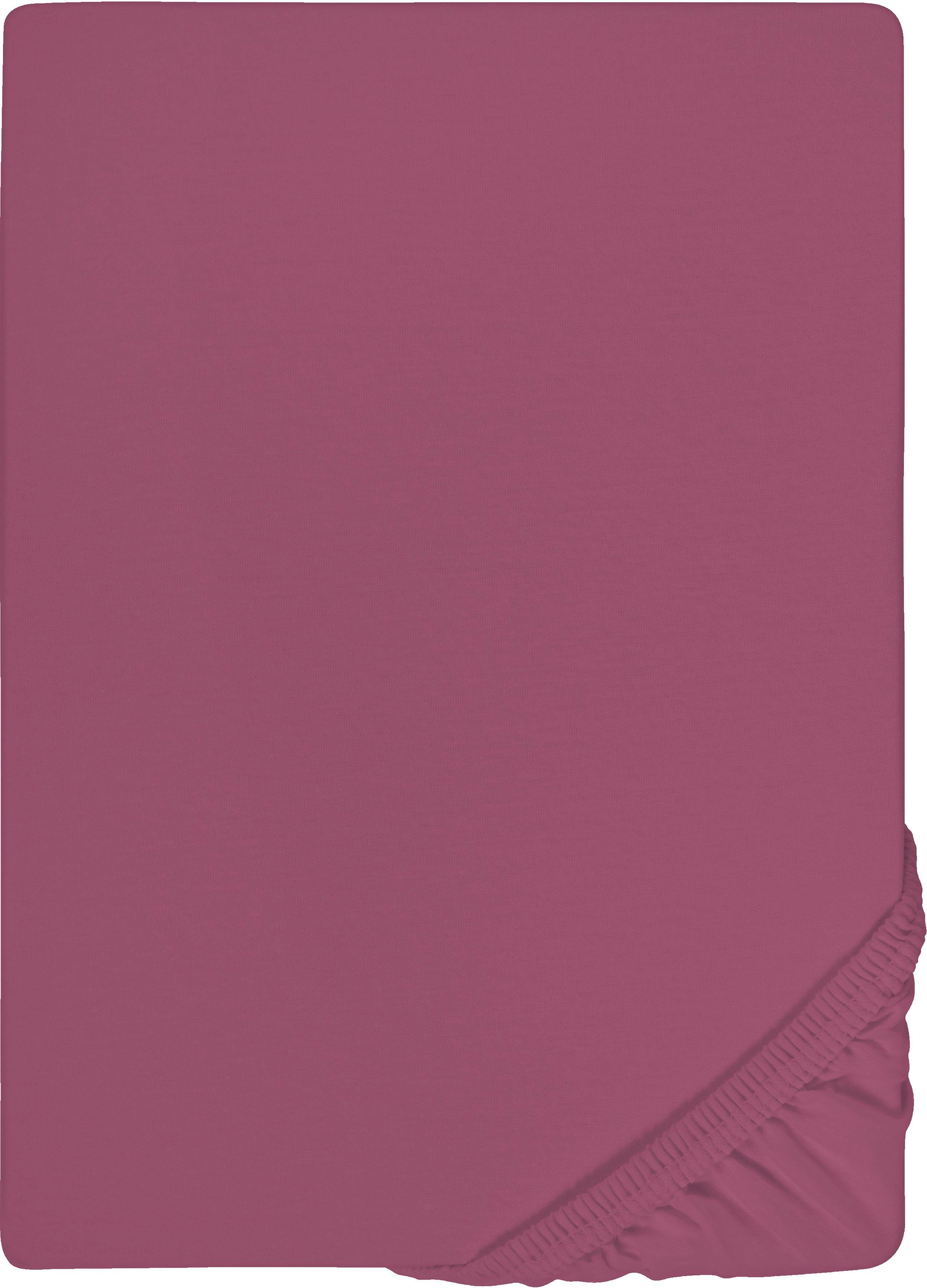 Castell - Markenbettwäsche Spannbettlaken Jersey in günstig online kaufen