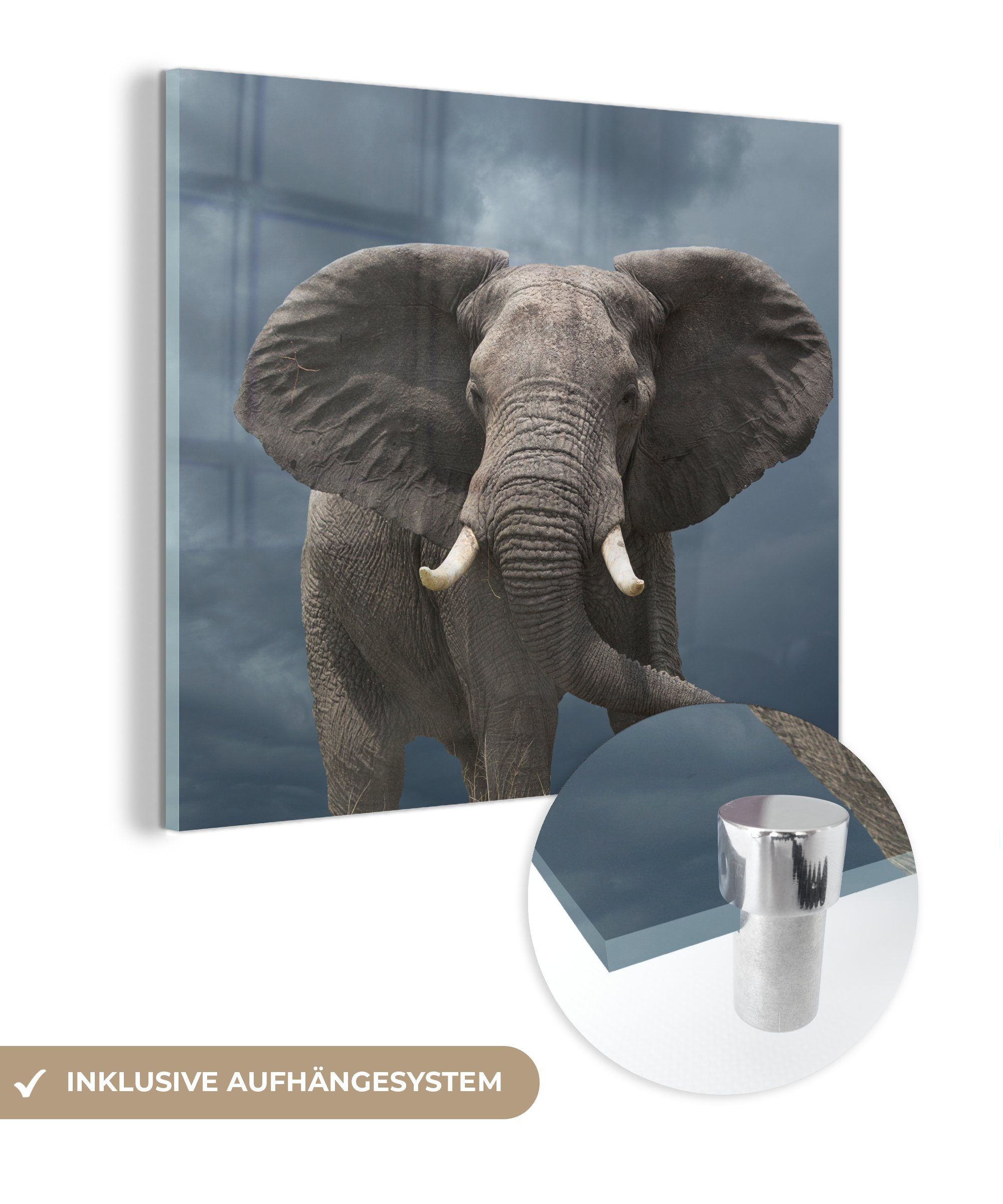 MuchoWow Acrylglasbild Elefant - Wolken - Tiere - Natur, (1 St), Glasbilder - Bilder auf Glas Wandbild - Foto auf Glas - Wanddekoration