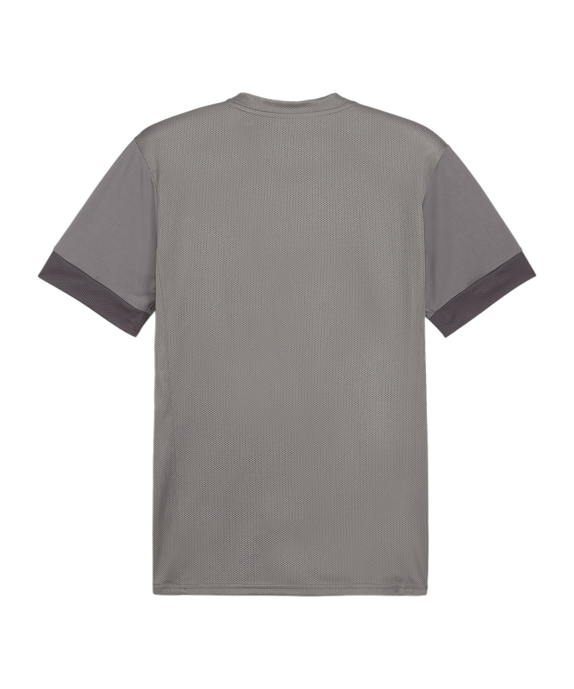 PUMA Fußballtrikot PUMA teamGOAL Matchday Trikot Trikots Herren Teamsport günstig online kaufen