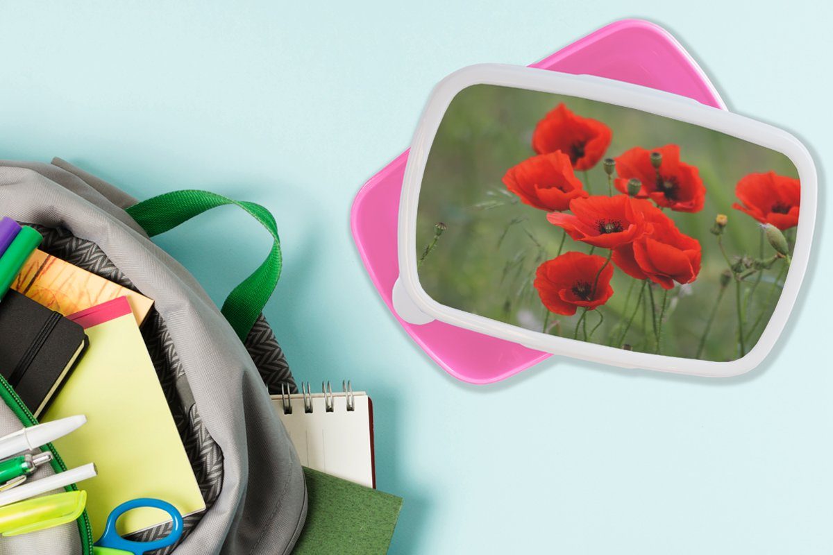 MuchoWow Lunchbox Mohn Mädchen, Blumen - Rot, für Snackbox, Kunststoff Brotdose Erwachsene, - Kunststoff, Kinder, (2-tlg), Brotbox rosa
