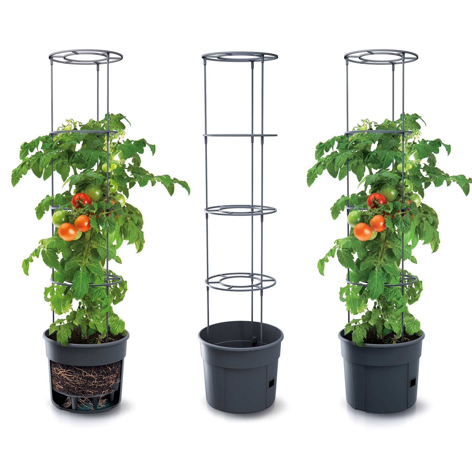 KAGM Pflanzkübel Blumenkübel Rankhilfe Blumentopf für günstig online kaufen