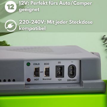 STEINBORG Thermobehälter SB-510 Kühlbox, Kunststoff, (Einzeln), 30 Liter, Tragegriff, Warmhaltefunktion, 12V und 230V Anschluss