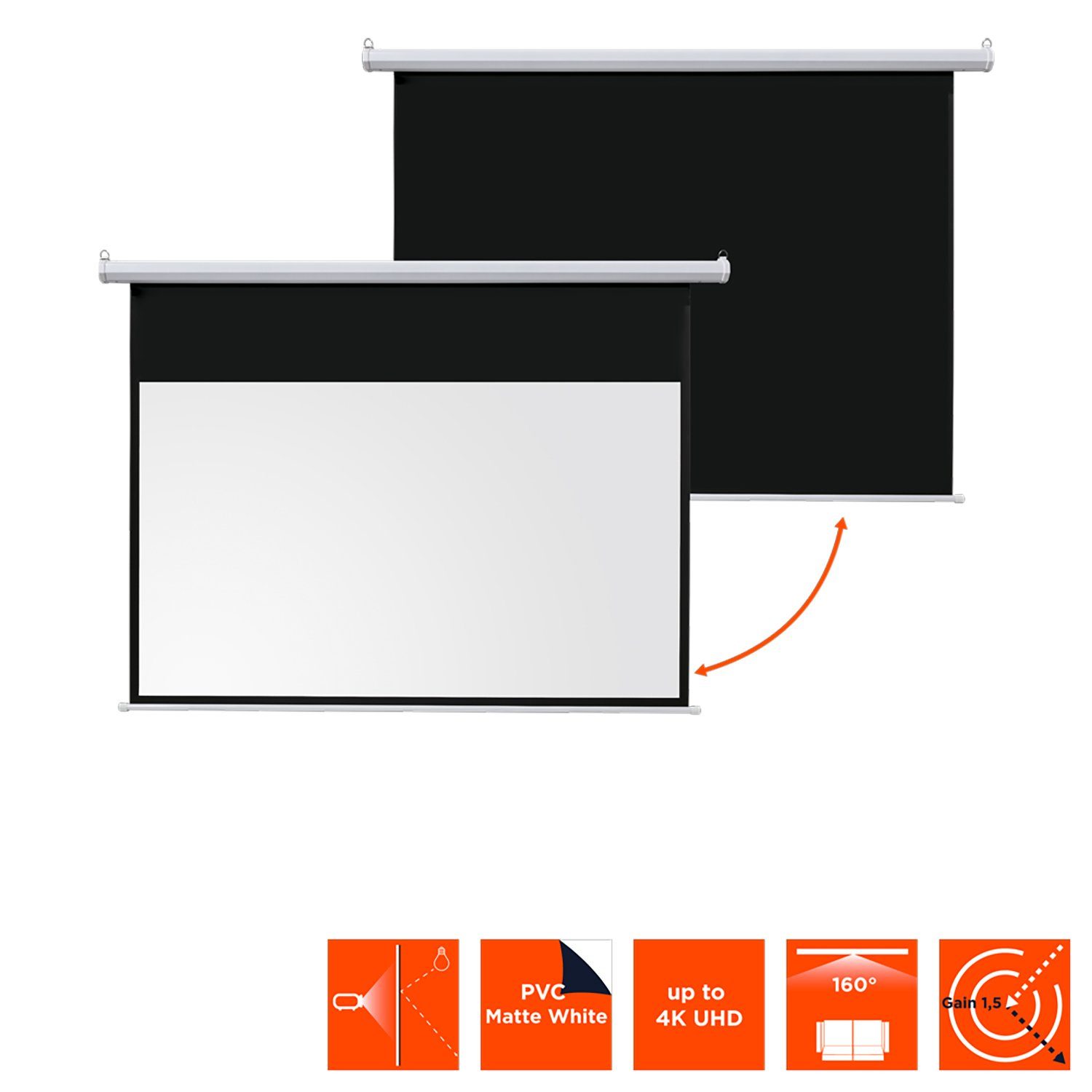 Celexon basic line Motorleinwand (schwarze Rückseite)