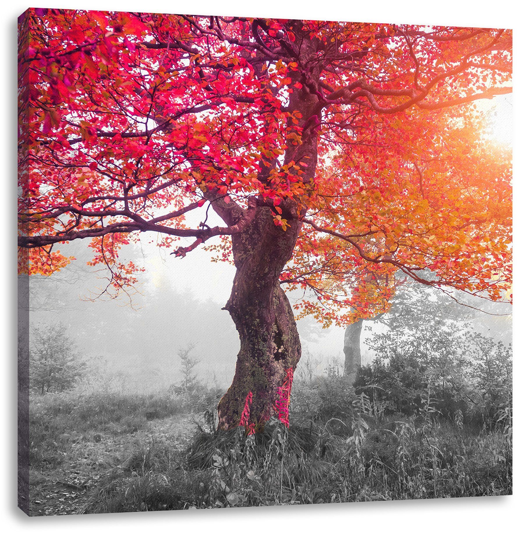 Pixxprint Leinwandbild Leinwandbild Zauberhafte bespannt, Zauberhafte inkl. fertig Zackenaufhänger Waldlandschaft, Waldlandschaft (1 St)