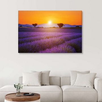 Posterlounge Leinwandbild Editors Choice, Sonne über dem Lavendel, Mediterran Fotografie