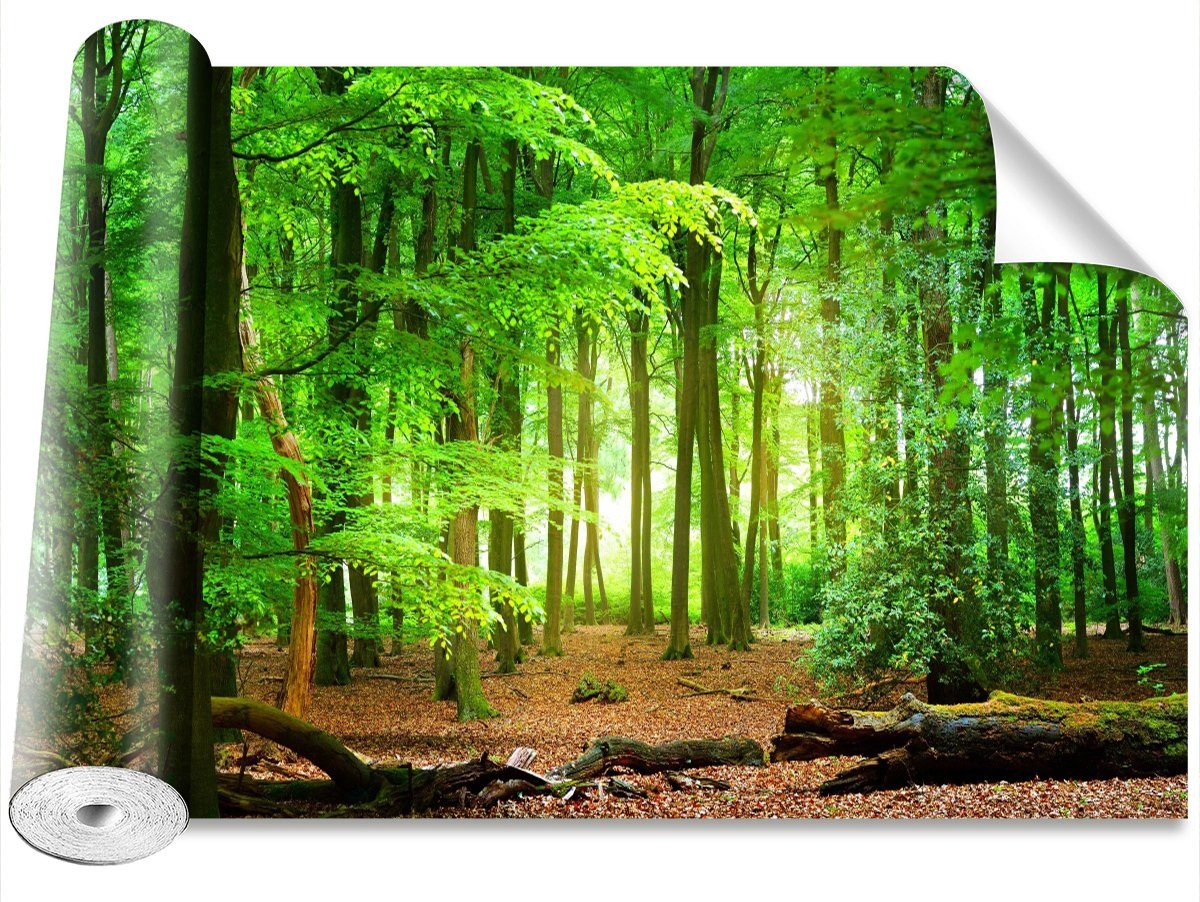 Tulup Fototapete Fototapete Vliestapete XXL Wand Modern Tapete Wohnzimmer - Wald, botanisch