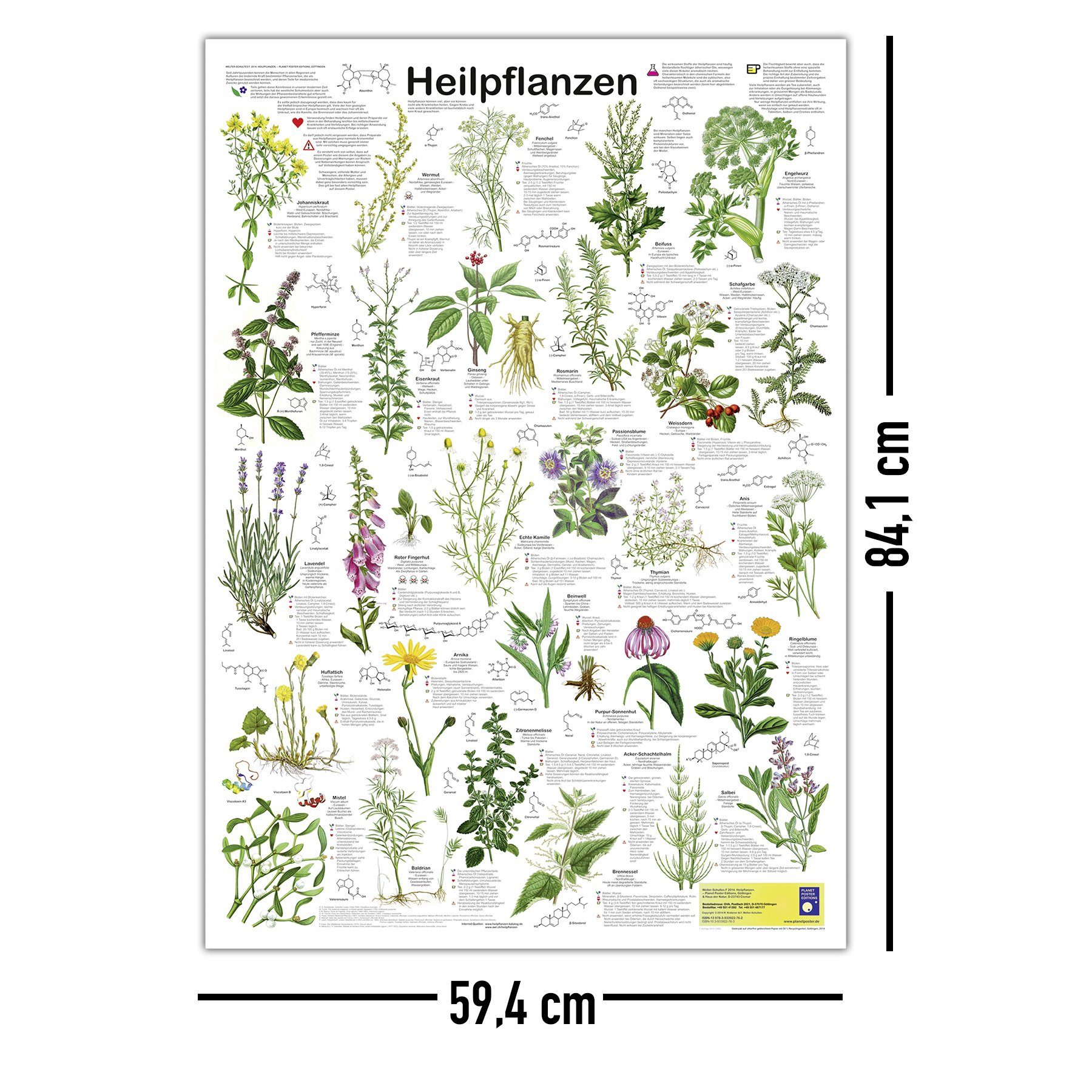Close Up Poster Heilpflanzen Poster deutsch DIN A1 59,4 x 84,1 cm – Bild 5 von 5