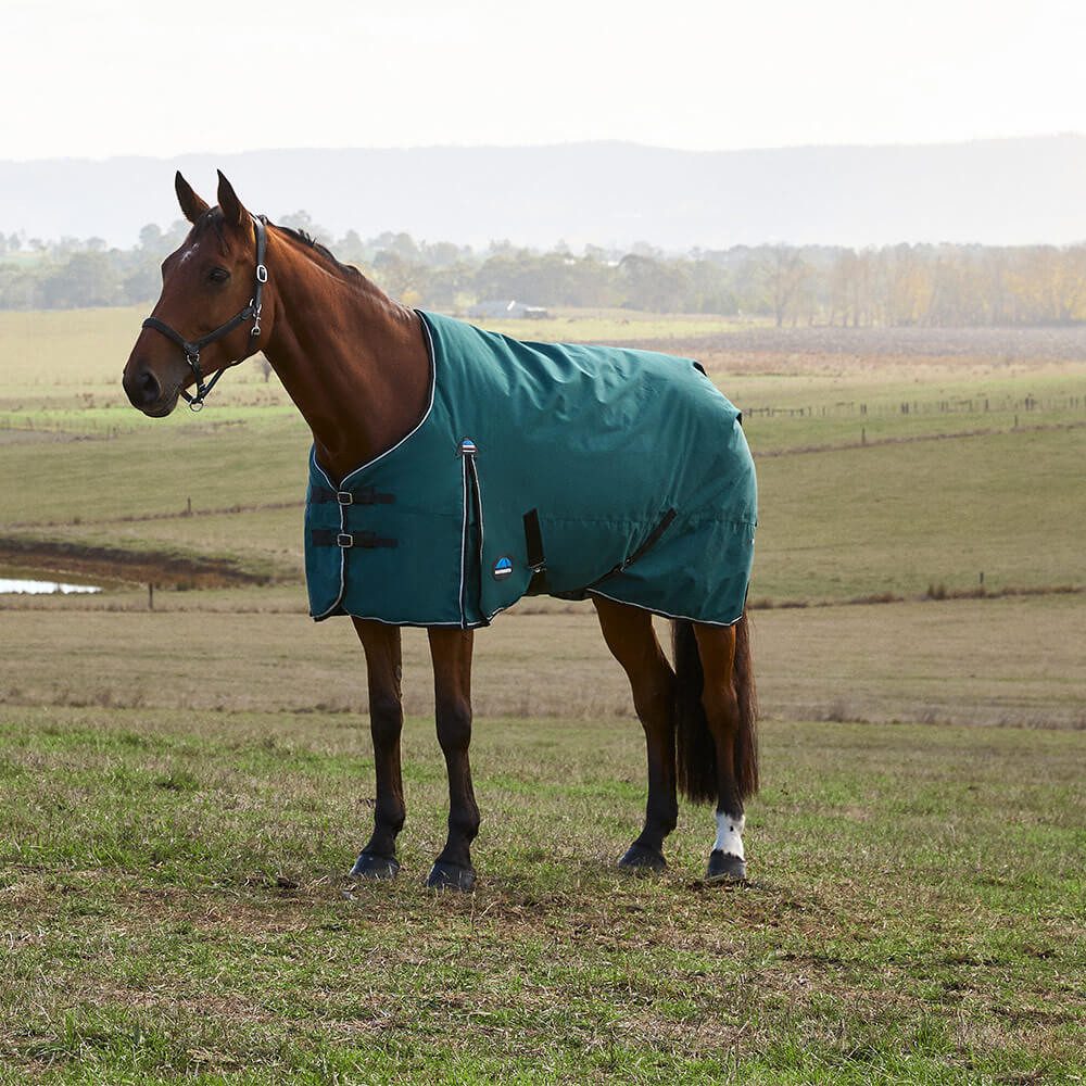 Pferde-Thermodecke Weatherbeeta Comfitec Classic Turnout 220g