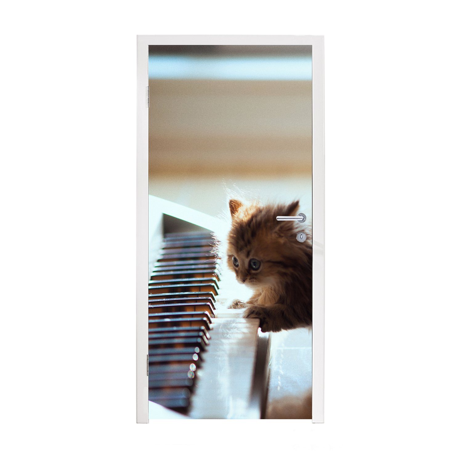 Kätzchen, (1 bedruckt, - Fototapete MuchoWow Türaufkleber, Tür, Türtapete 75x205 Matt, - Katze cm Tier St), für