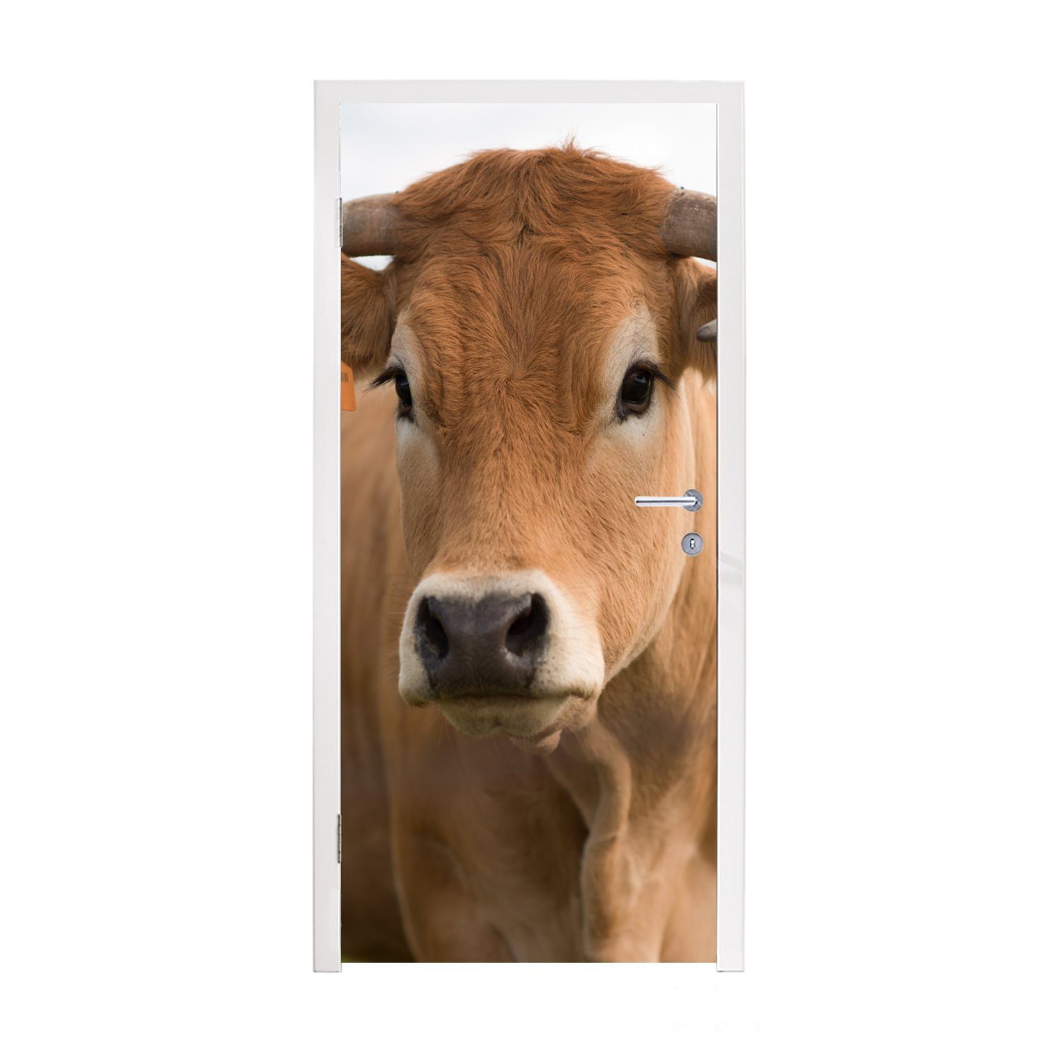 MuchoWow Türtapete Kuh - Horn - Porträt, Matt, bedruckt, (1 St), Fototapete für Tür, Türaufkleber, 75x205 cm