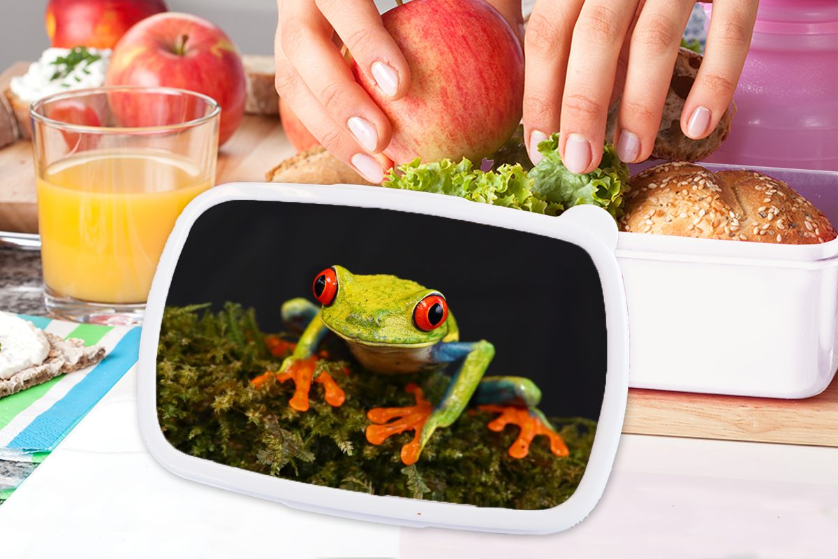 MuchoWow Lunchbox Frosch - Augen für Erwachsene, (2-tlg), und Brotbox für weiß Kinder Brotdose, Rot - und Grün, - Mädchen Jungs Kunststoff