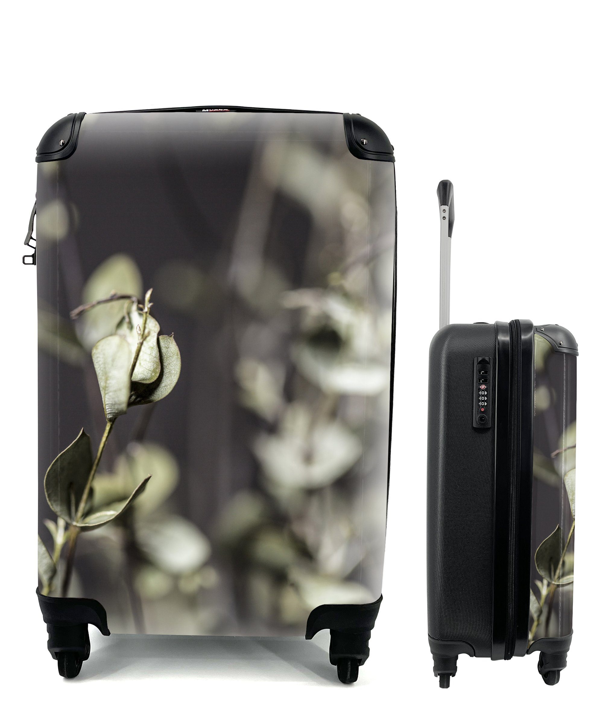 Reisetasche MuchoWow Reisekoffer Handgepäck rollen, 4 Eukalyptuszweige, Ferien, Trolley, Rollen, Getrocknete Handgepäckkoffer mit für