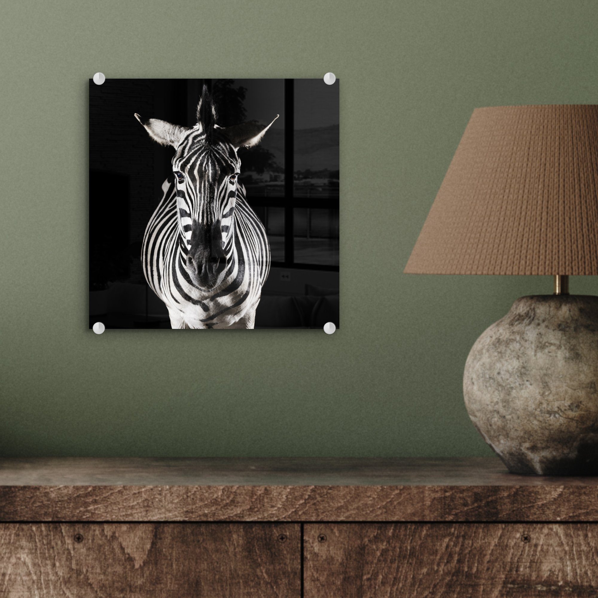 MuchoWow Acrylglasbild auf schwarzem Wandbild Bilder auf Foto Glas Wanddekoration - - (1 - auf St), Glas Glasbilder Hintergrund, Zebra