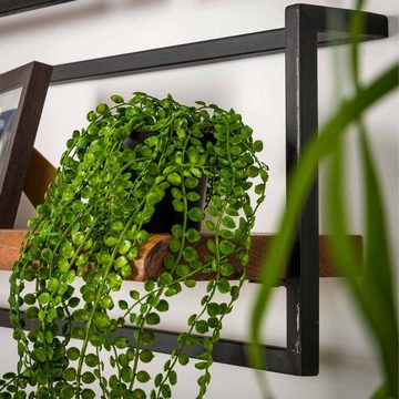 RINGO-Living Regal Massivholz Regal Alani in Natur-hell und Schwarz-matt 1000mm, Möbel
