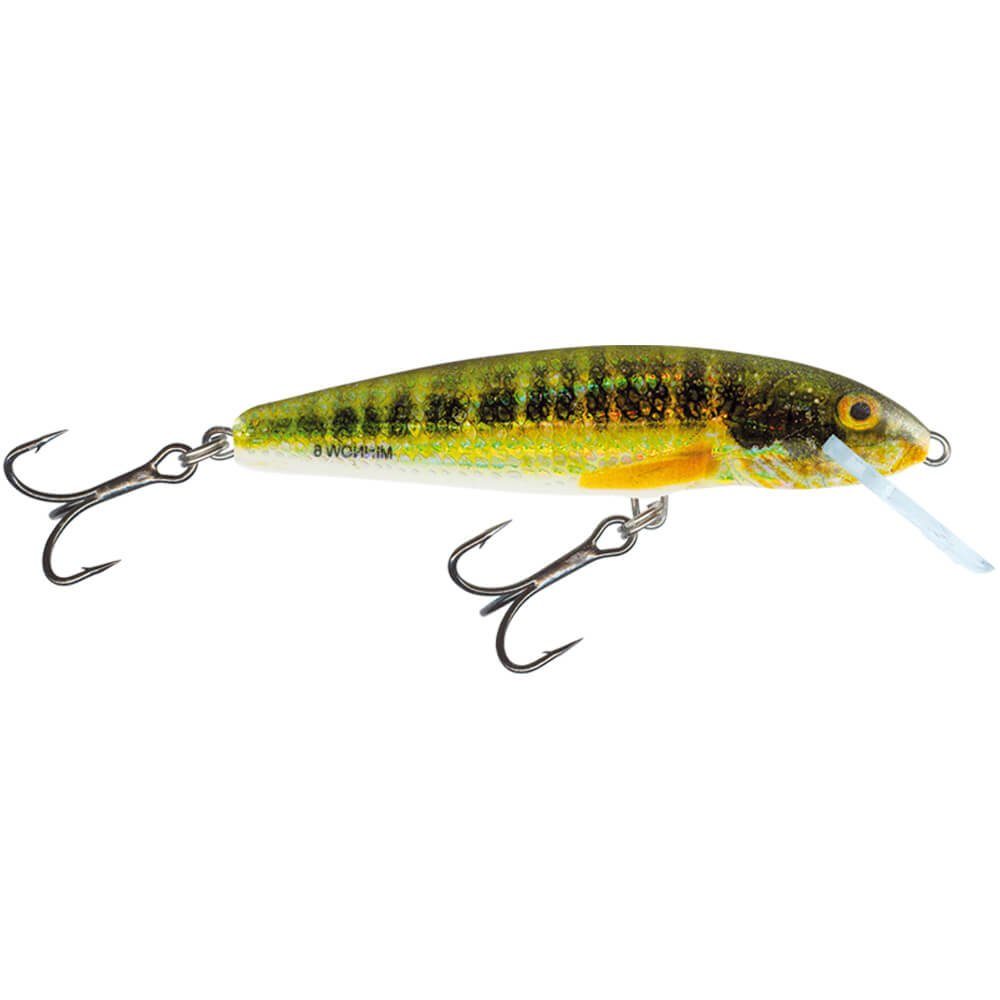 Kunstköder Salmo Minnow Wobbler Crankbait Holo Real Minnow