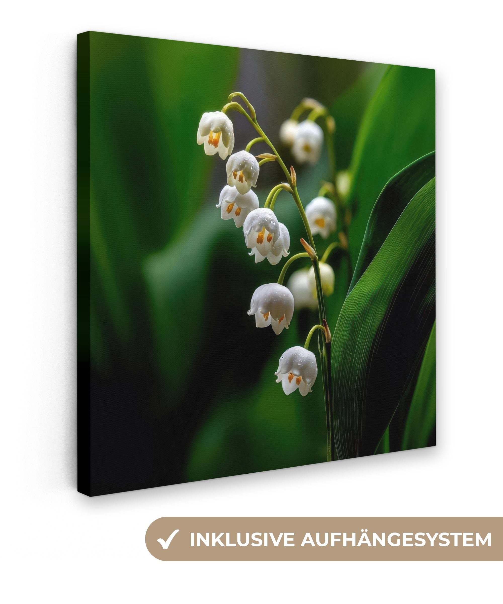 OneMillionCanvasses® Leinwandbild Blumen - weiß - günstig online kaufen