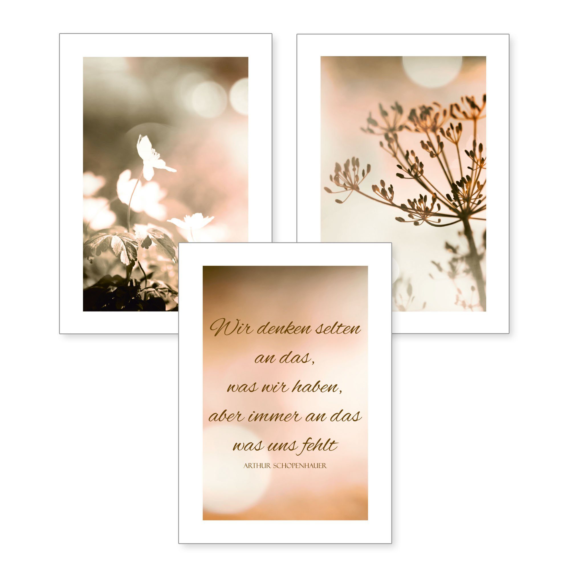 Kreative Feder Poster, Natur, Zitat, Text, Blume, Blüte (Set, 3 St), 3-teiliges Poster-Set, Wandbild, optional mit Rahmen, DIN A4 oder A3