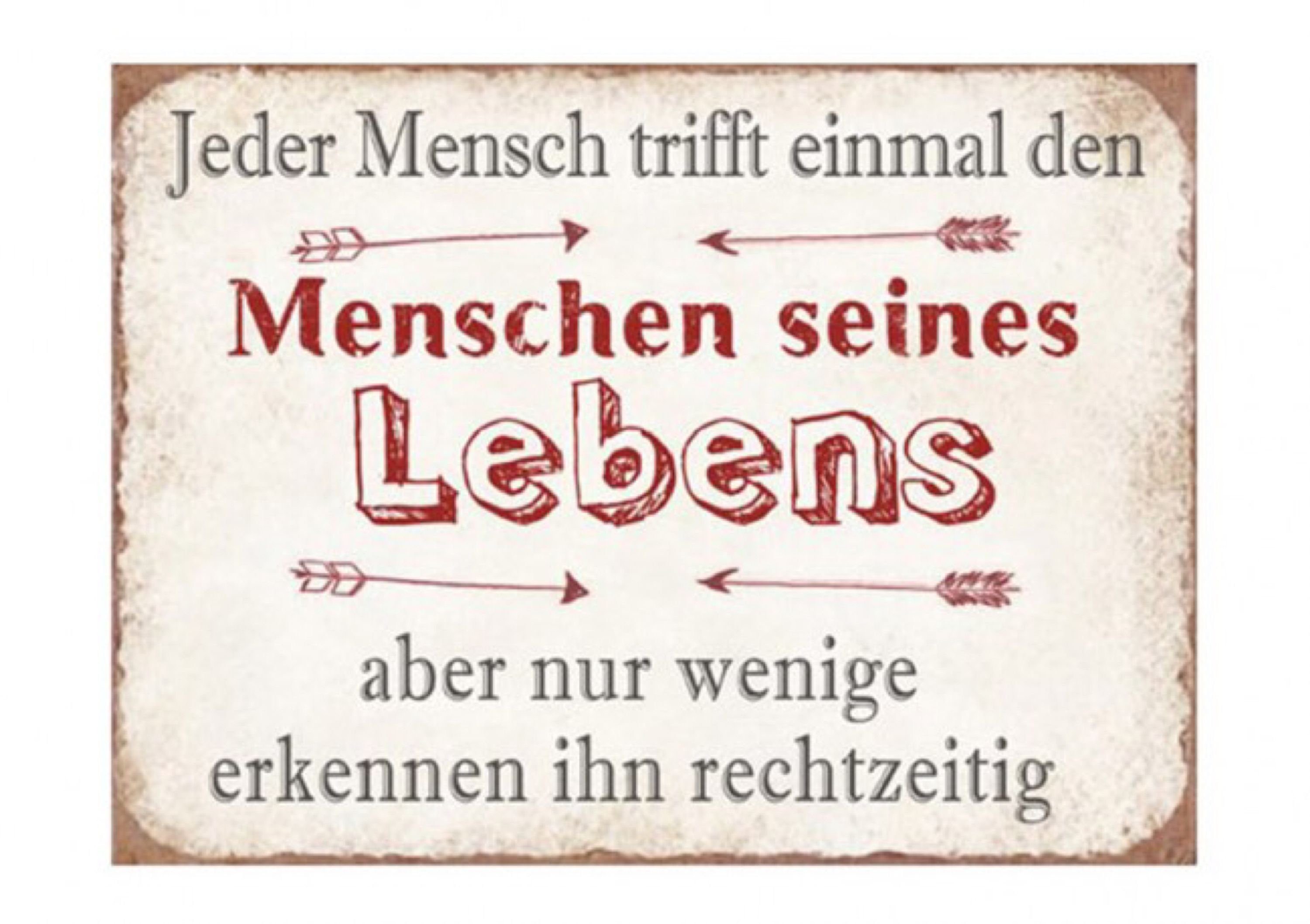 G. Wurm Metallschild, Vintage Retro Blechschild mit Spruch Jeder