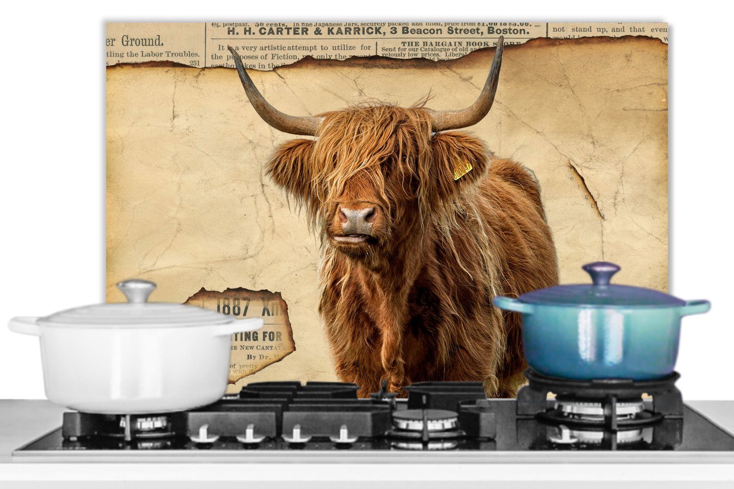 MuchoWow Küchenrückwand Wandschutz, Retro - Herdblende Zeitungsartikel, Schottischer Highlander 60x40 - cm, aus (1-tlg), Temperaturbeständig küchen