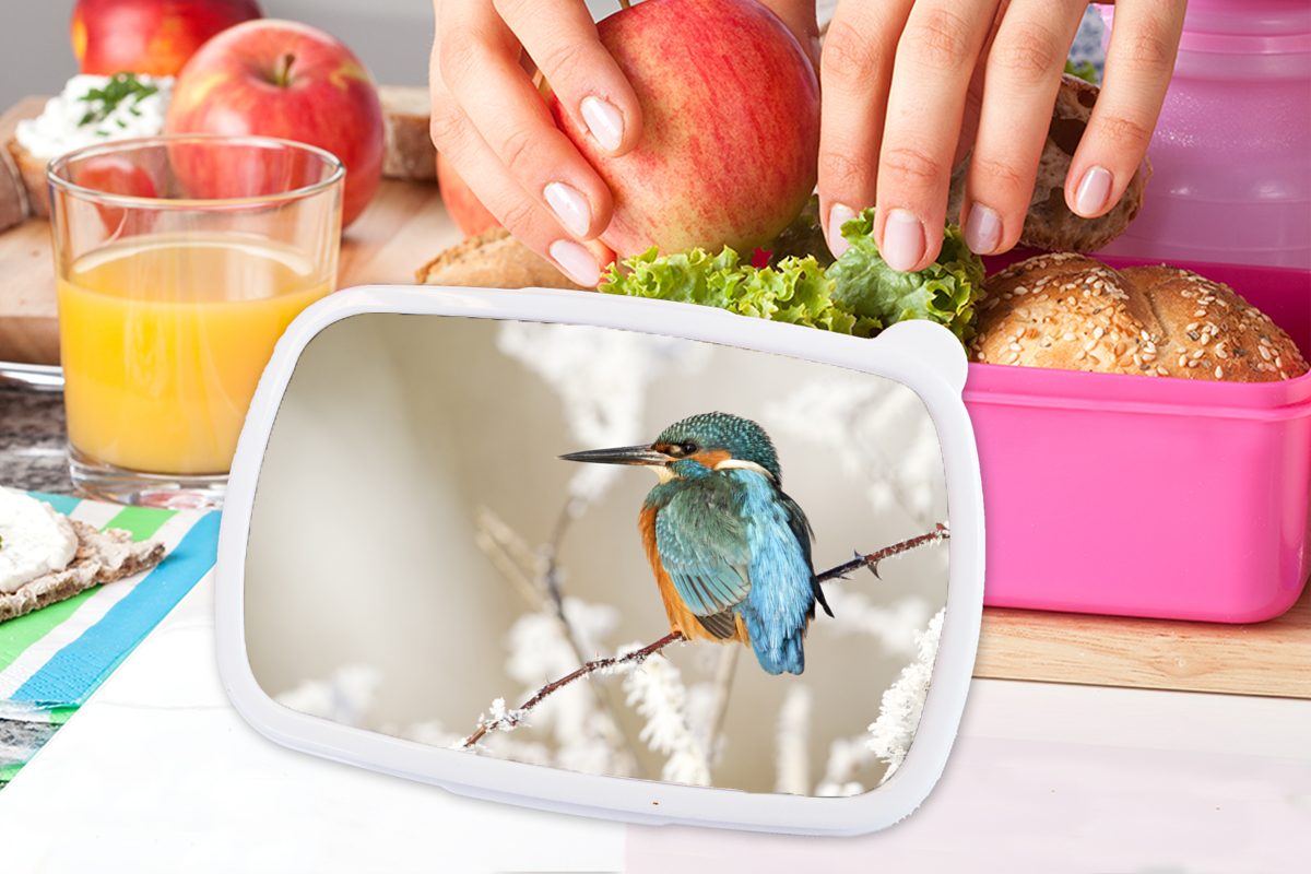 Äste, - Brotdose Lunchbox Brotbox Mädchen, Eisvogel Kunststoff, MuchoWow (2-tlg), Snackbox, Kinder, Erwachsene, Kunststoff für rosa Schnee -