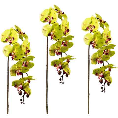 Kunstpflanze Orchidee, Creativ green, Höhe 98 cm, 3er Set
