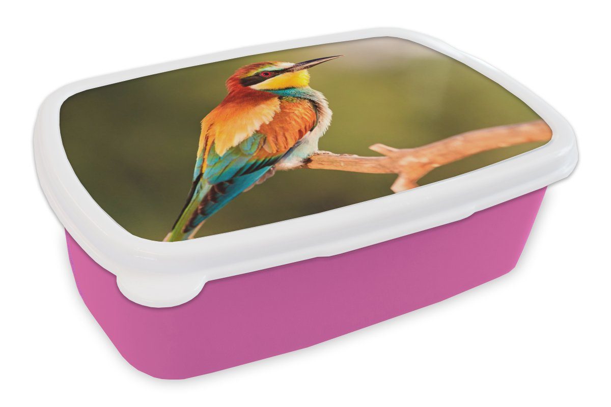 MuchoWow Lunchbox Vögel - Bienenfresser - Regenbogen - Tiere, Kunststoff, (2-tlg), Brotbox für Erwachsene, Brotdose Kinder, Snackbox, Mädchen, Kunststoff rosa