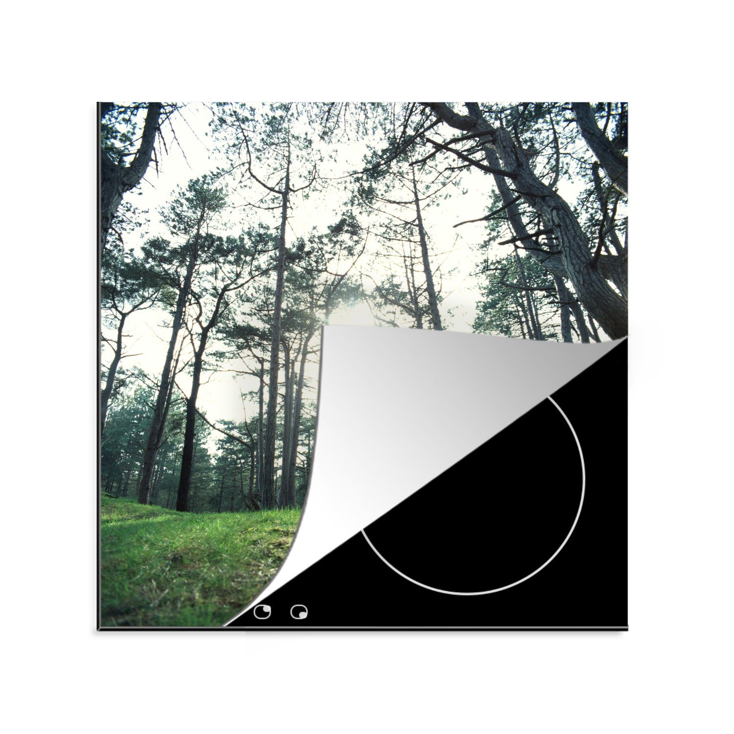 MuchoWow Herdblende-/Abdeckplatte Jemand macht Yoga im Wald, Vinyl, (1 tlg), 78x78 cm, Ceranfeldabdeckung, Arbeitsplatte für küche