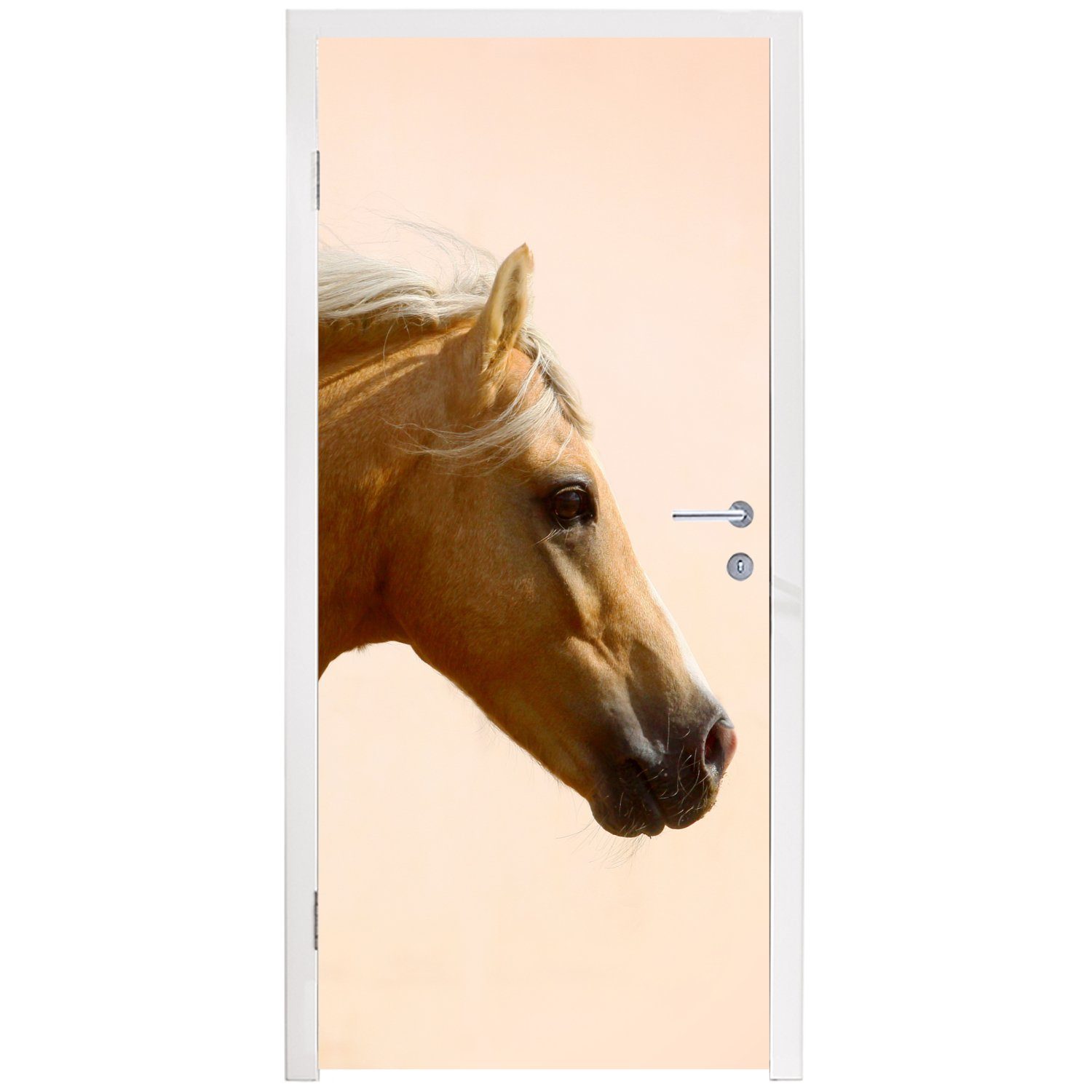 Türaufkleber, cm Licht Türtapete MuchoWow für (1 - Fototapete Luft, 75x205 St), Pferd Tür, Matt, - bedruckt,