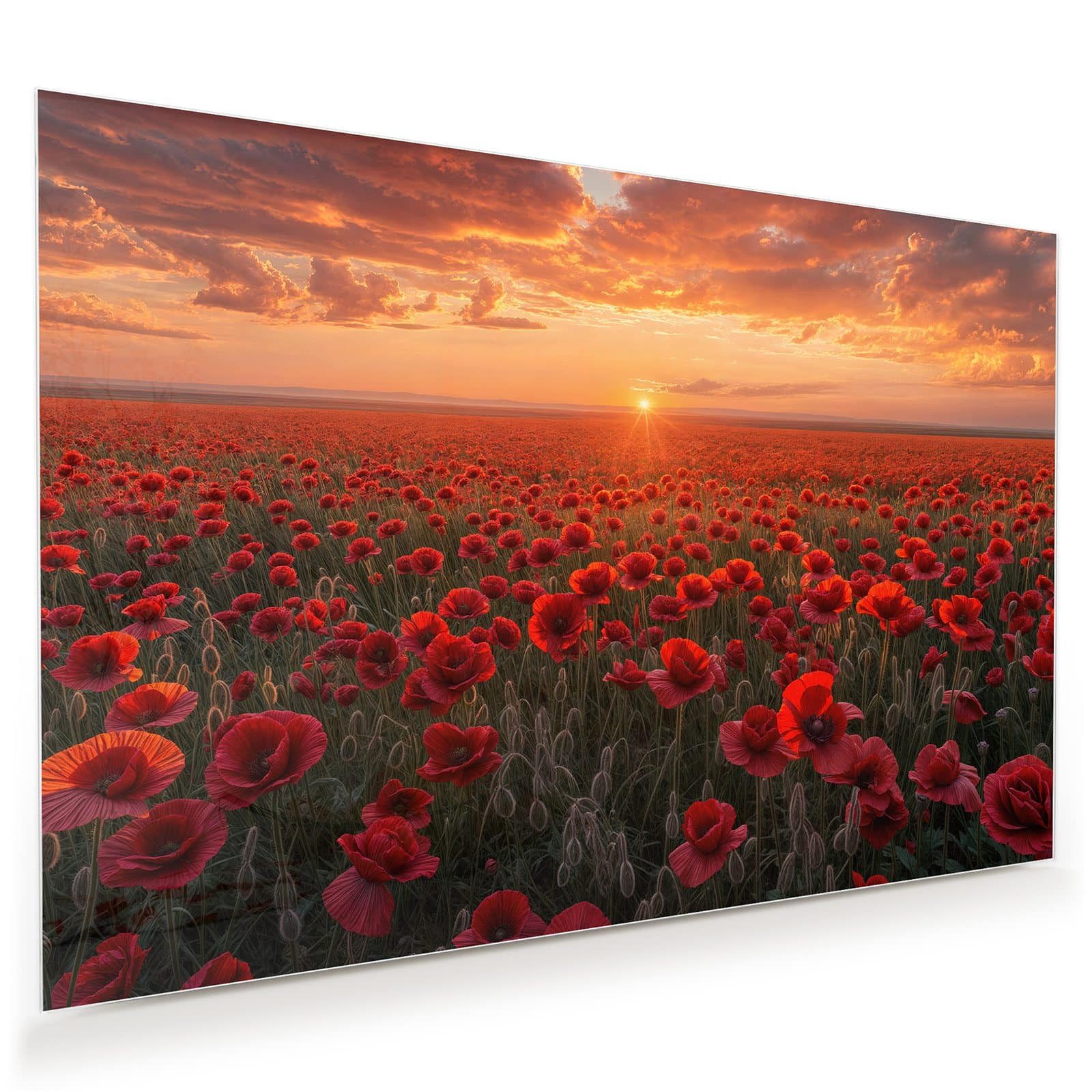 Primedeco Glasbild Wandbild Mohnfeld Sonnenuntergang mit günstig online kaufen