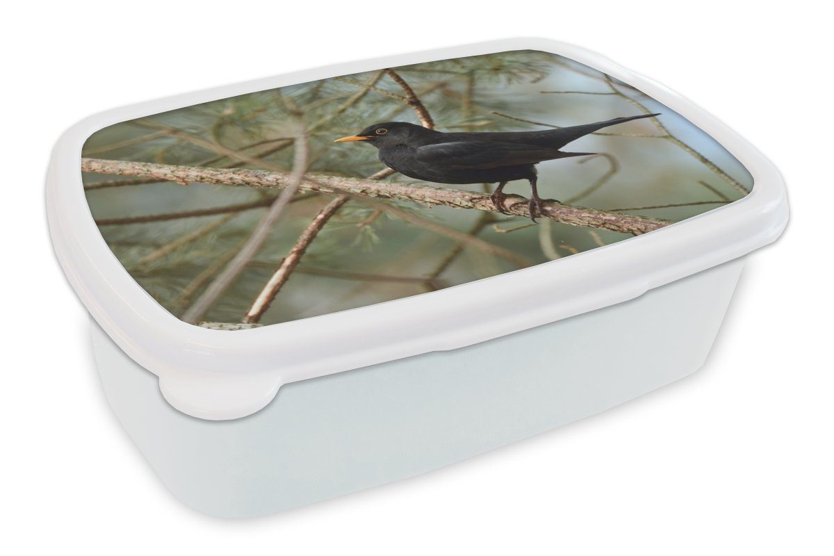 MuchoWow Lunchbox Jungs Brotdose, Amsel (2-tlg), - Zweige Kunststoff, Vogel weiß Mädchen - und Kinder und für Erwachsene, - Tiere, für Brotbox