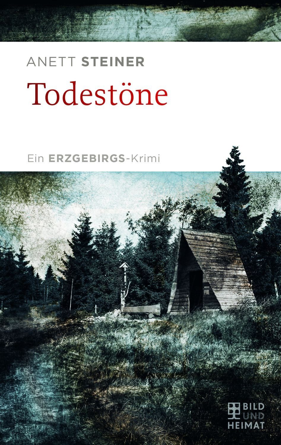 Todestöne / Anett Steiner