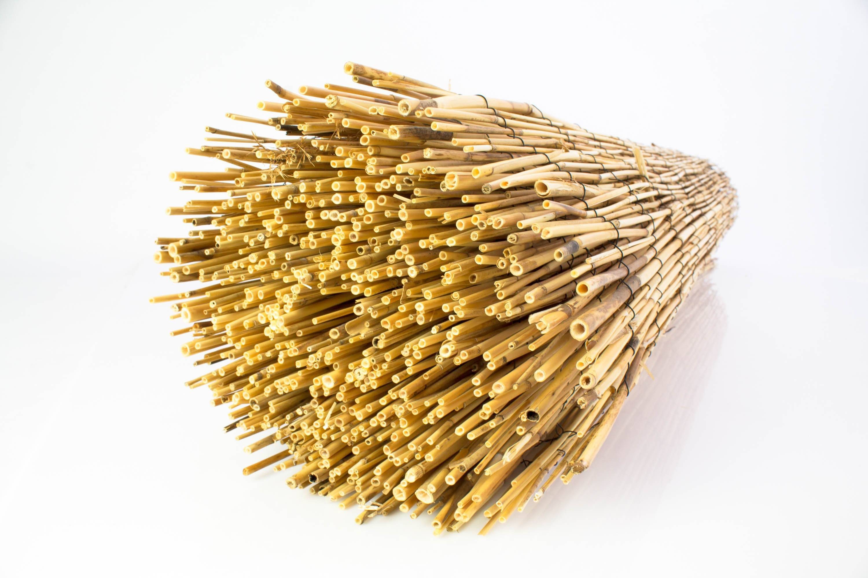 artplants Sichtschutzelement Schilfmatte Elliot aus geschältem Schilf, naturfarben, 500 cmx150 cm
