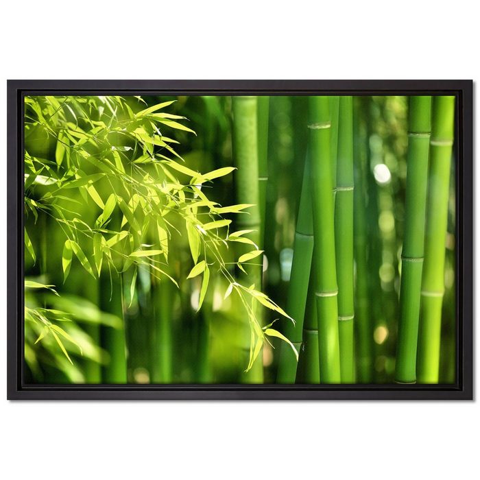 Pixxprint Leinwandbild Bambus mit Blättern Wanddekoration (1 St) Leinwandbild fertig bespannt in einem Schattenfugen-Bilderrahmen gefasst inkl. Zackenaufhänger