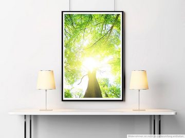 Sinus Art Poster Naturfotografie 60x90cm Poster Grüner Wald an einem sonnigen Tag