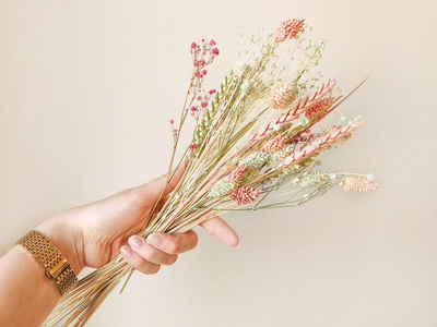 Trockenblume Tauschpaket FlowerBar “DOLCE VITA”, FlowerBar by Trockenblumen-Manufaktur