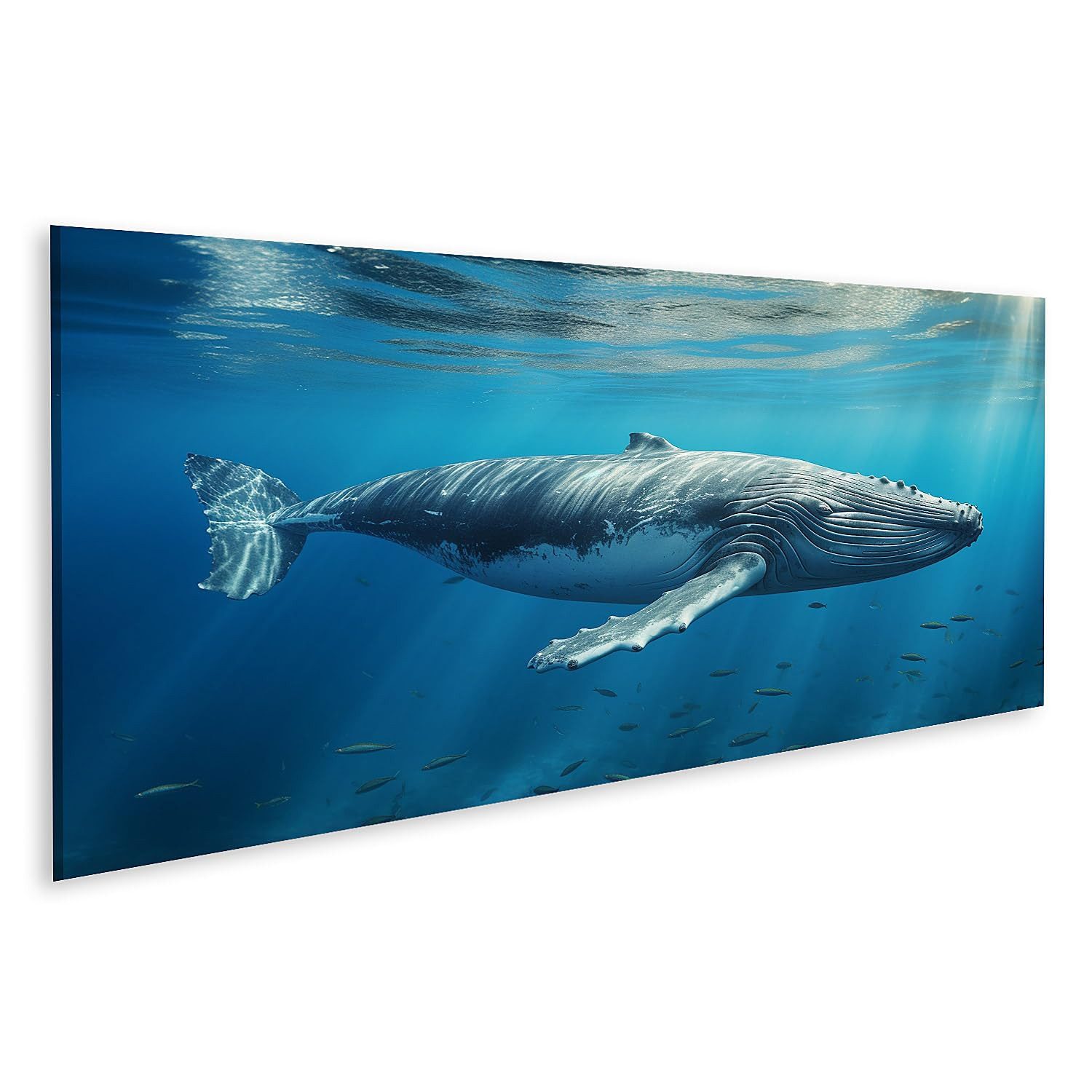 islandburner Leinwandbild Baby Buckelwal Spielt Nahe Der Oberfläche Blaues Wasser