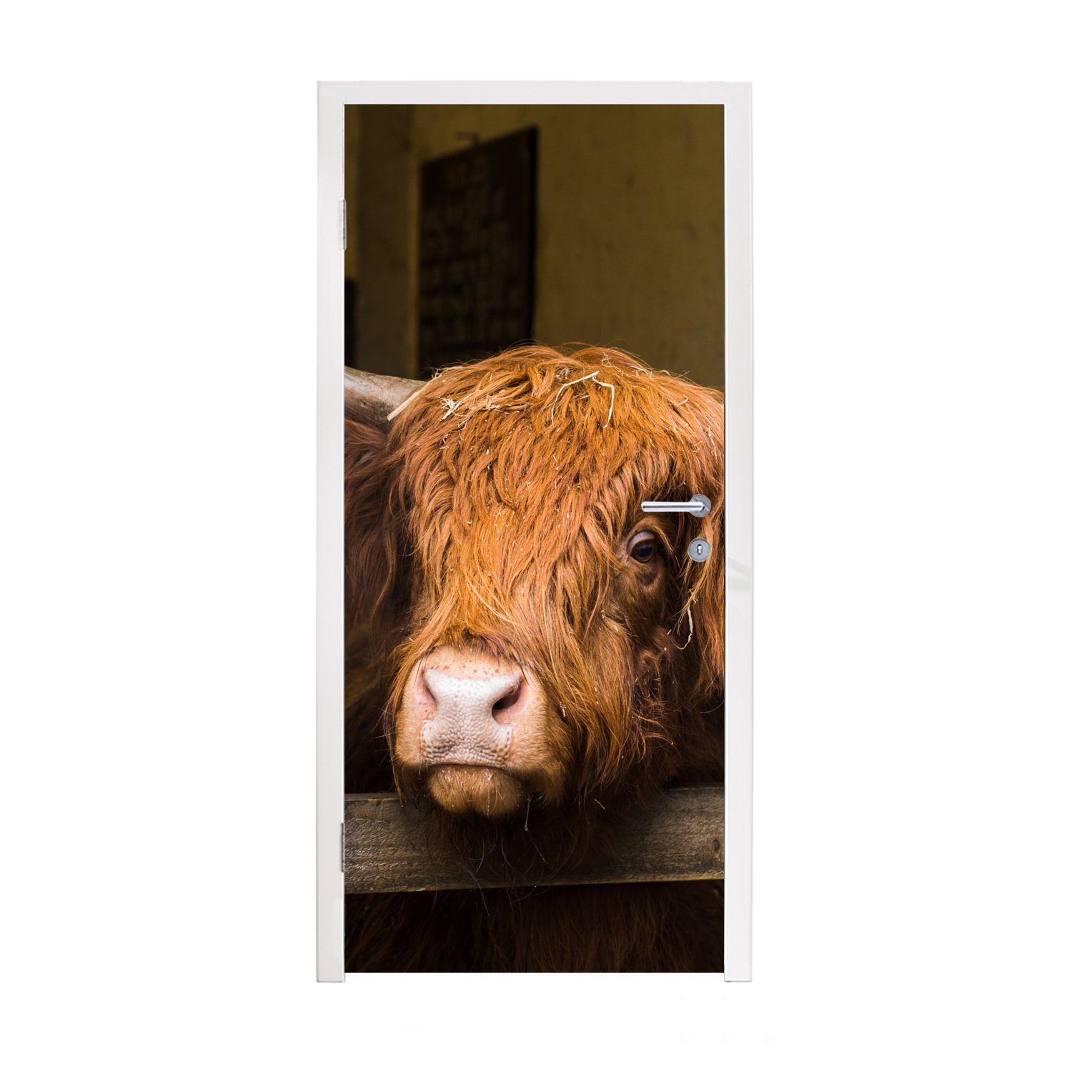MuchoWow Türtapete Schottischer Highlander - Bauernhaus - Scheune, Matt, bedruckt, (1 St), Fototapete für Tür, Türaufkleber, 75x205 cm | Türtapeten